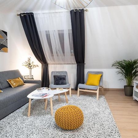 Superbe Appartement Au Coeur Du コルマール エクステリア 写真
