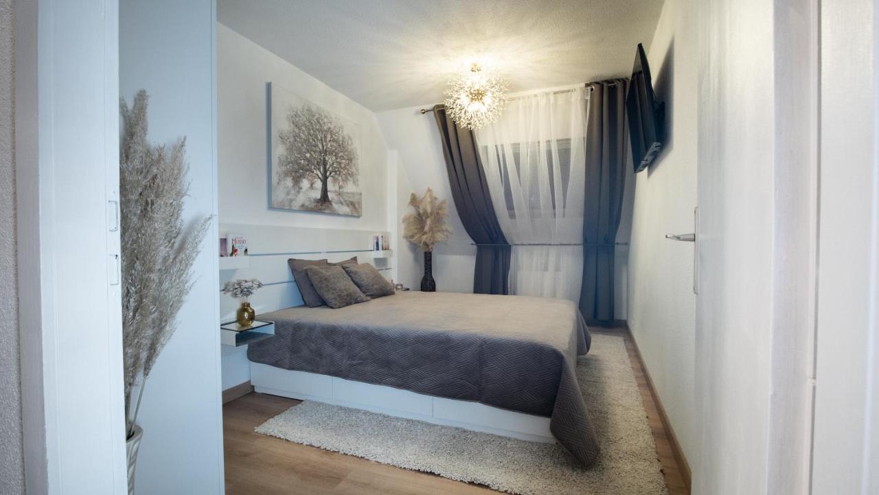 Superbe Appartement Au Coeur Du コルマール エクステリア 写真