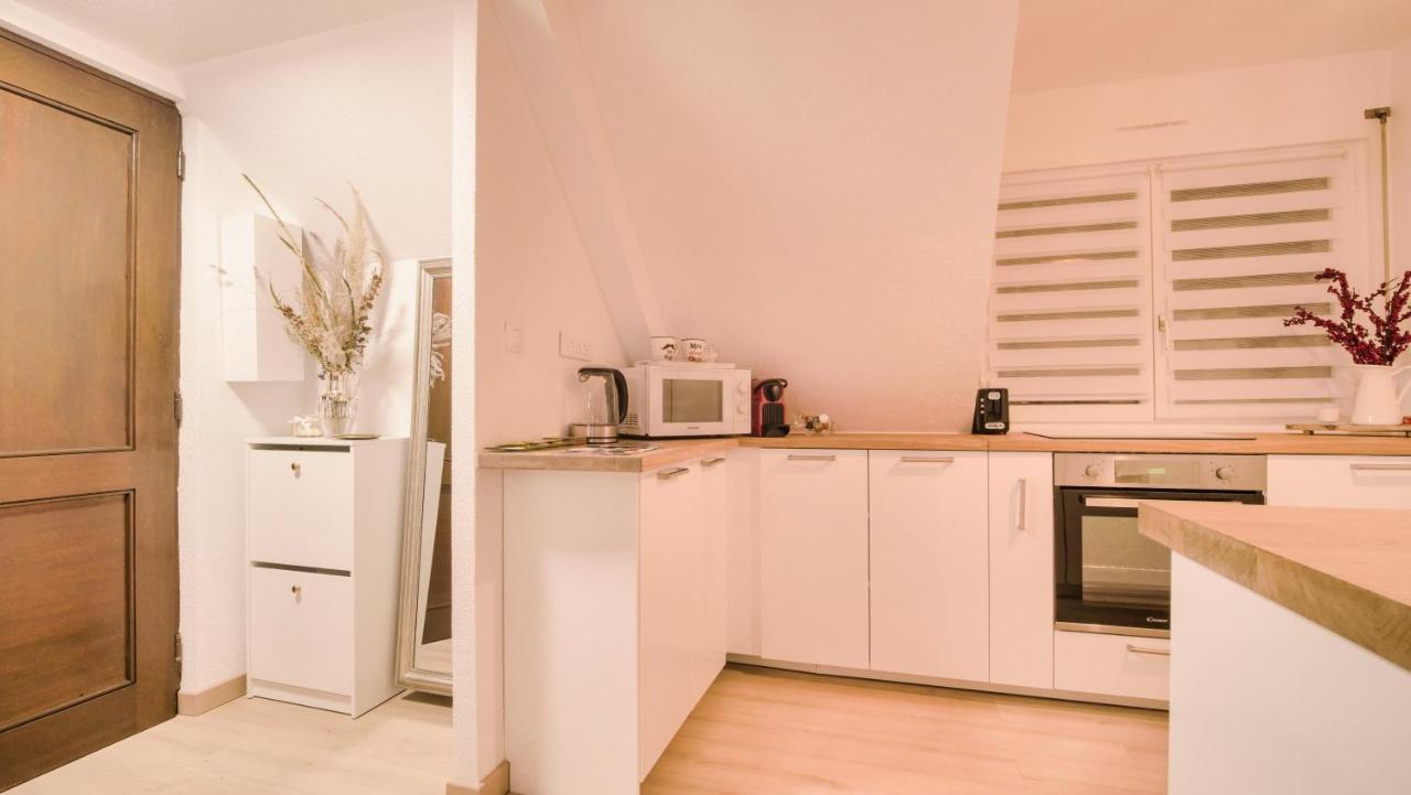 Superbe Appartement Au Coeur Du コルマール エクステリア 写真
